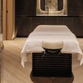What is the best treatment at spa?